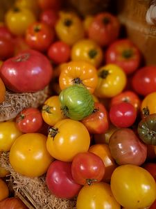 Heirloom Tomato Gazpacho with Avocado and Smoky Creme Fraiche