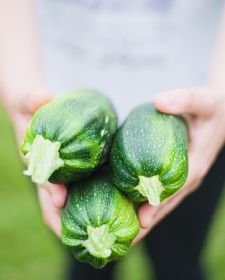 Summer Veggies We Love
