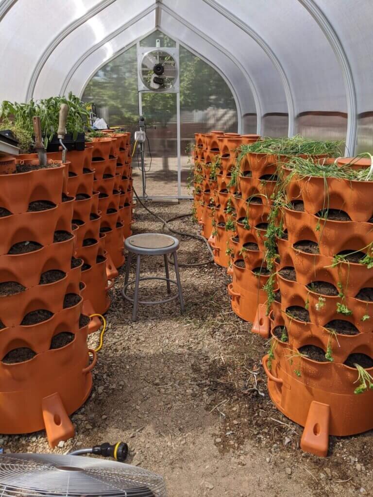 Greenhouse Helps Increase The Ability To Grow Herbs Year-Round