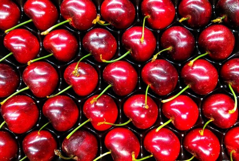 Your Guide to Seasonal Produce in Colorado