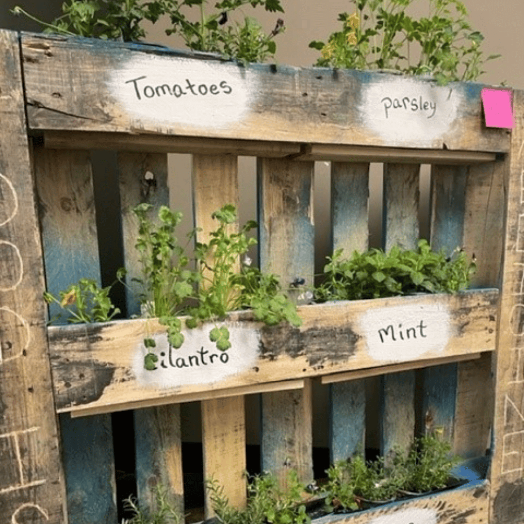 Herb garden made from a shipping pallet